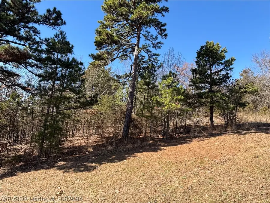 Tract 12 Suvada Lane, Paris, AR 72855 - #2