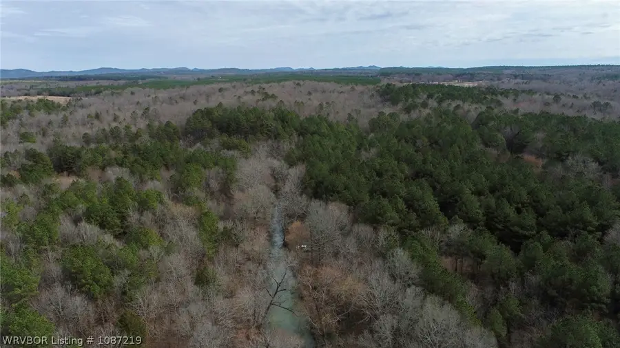 811 Polk Rd 21, Cove, AR 71937 - #3