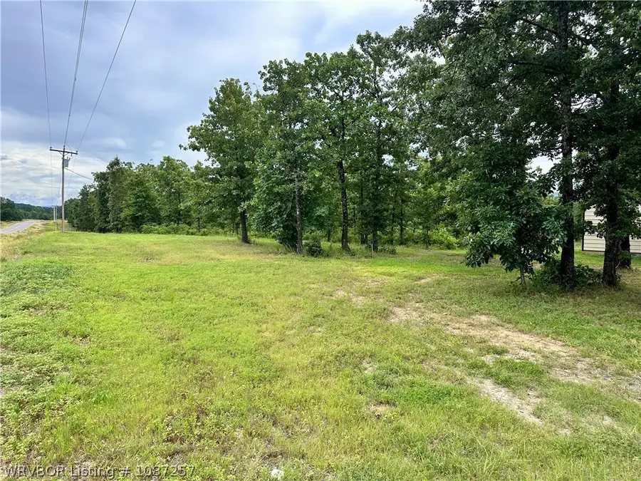 36919 Sh-63, Talihina, OK 74571 - #2