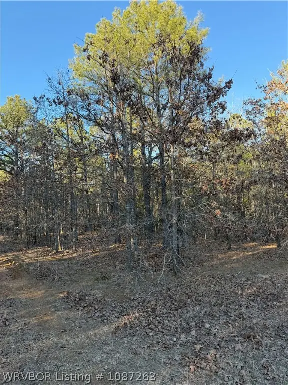 Tract 2 Rural Atoka, Atoka, OK 74525 - #2