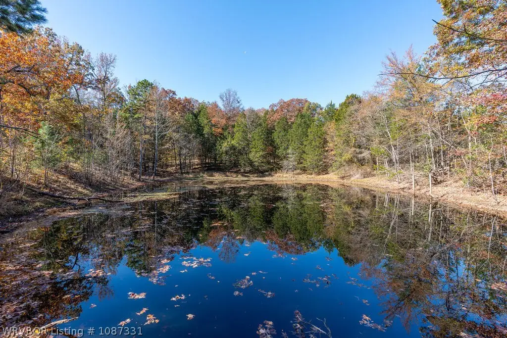 5565 282 Highway, Rudy, AR 72952 - #1