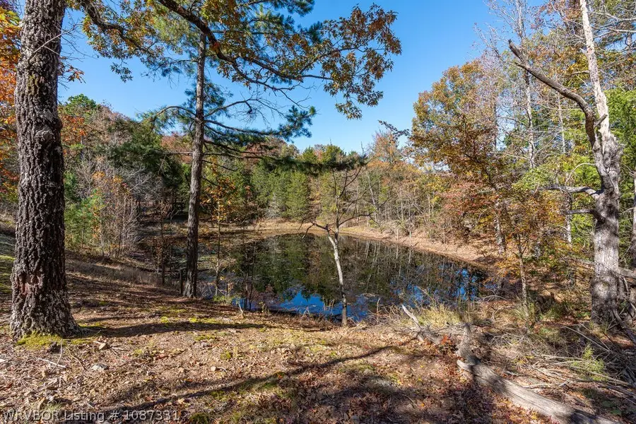 5565 282 Highway, Rudy, AR 72952 - #3