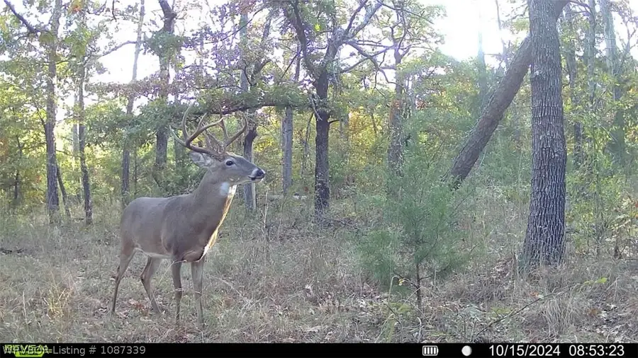 TBD 356 AC SE 179th, Wilburton, OK 74578 - #2