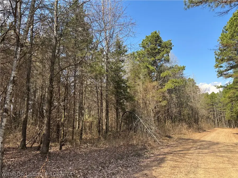 TBD Pilot Grove Loop, Ozark, AR 72949 - #2