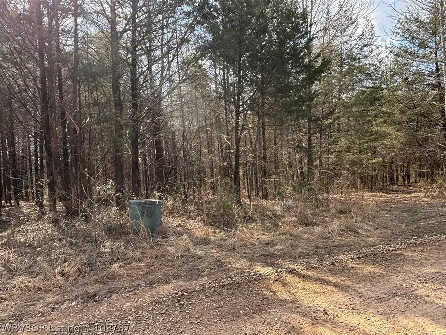 TBD Pilot Grove Loop, Ozark, AR 72949 - #3