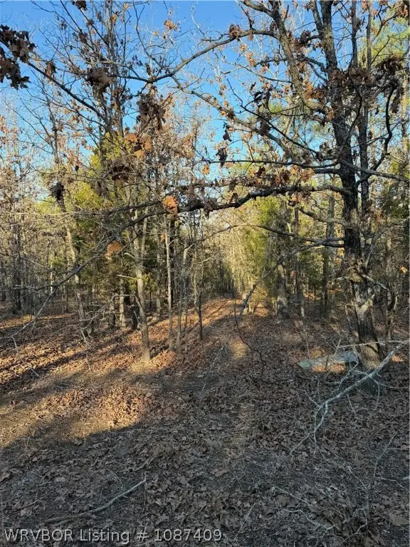 Tract 3 Rural Atoka, Atoka, OK 74525 - #3