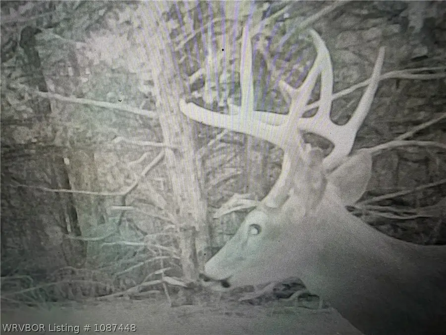 000 County Road E. 1290, Bokoshe, OK 74930 - #3