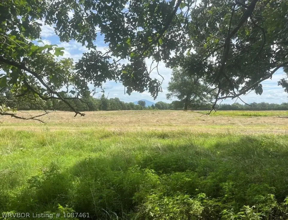 Tract 1415 Bean Patch Loop, Howe, OK 74940 - #1