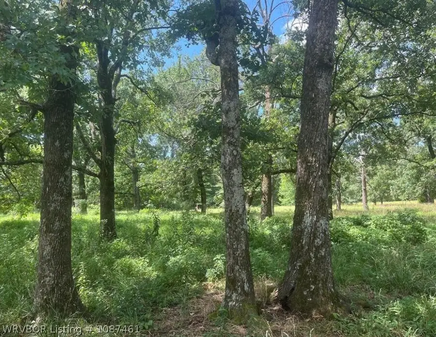 Tract 1415 Bean Patch Loop, Howe, OK 74940 - #3