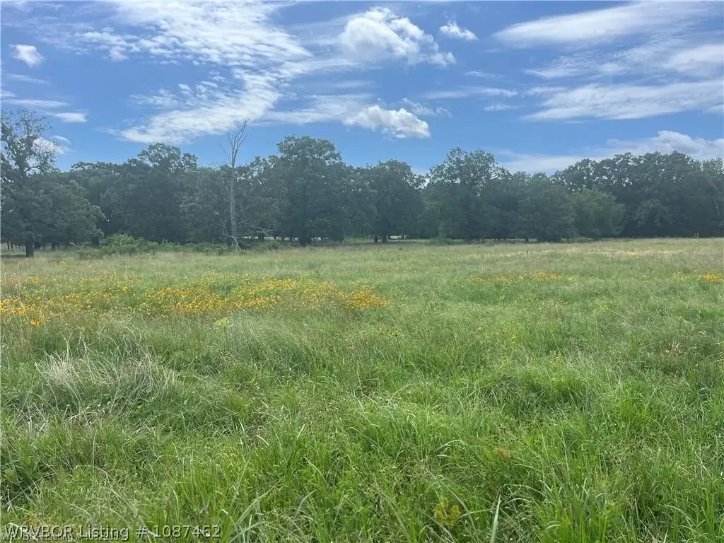 Tract 1617 Bean Patch Loop, Howe, OK 74940 - #1