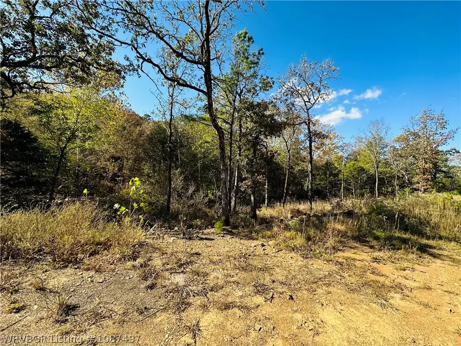 Tract 3 Wildwood Lane, Poteau, OK 74953 - #3