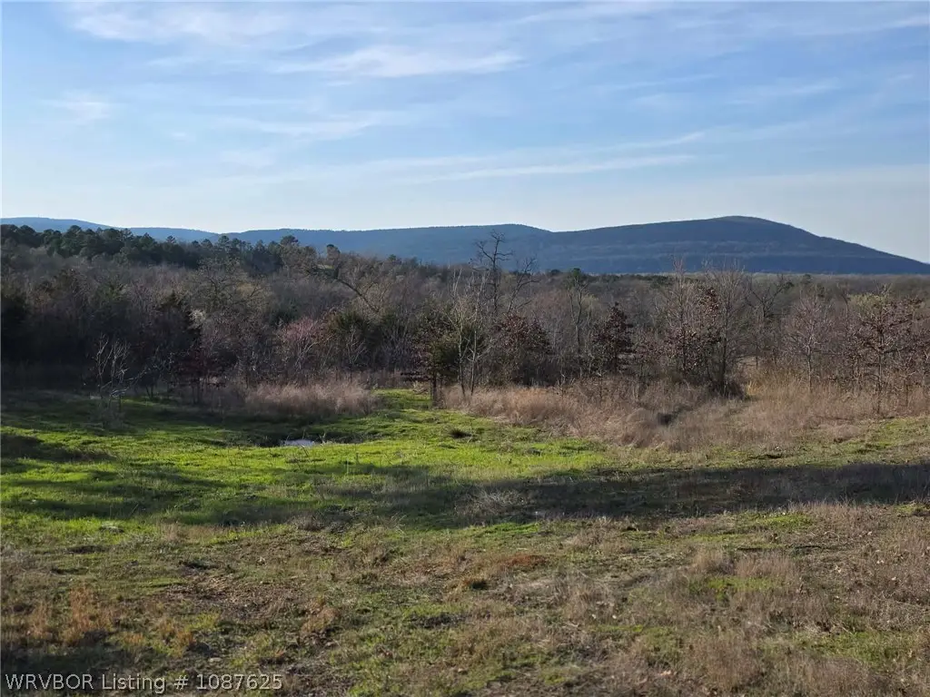 Tract 2 E 1685th Lane, Clayton, OK 74536 - #1