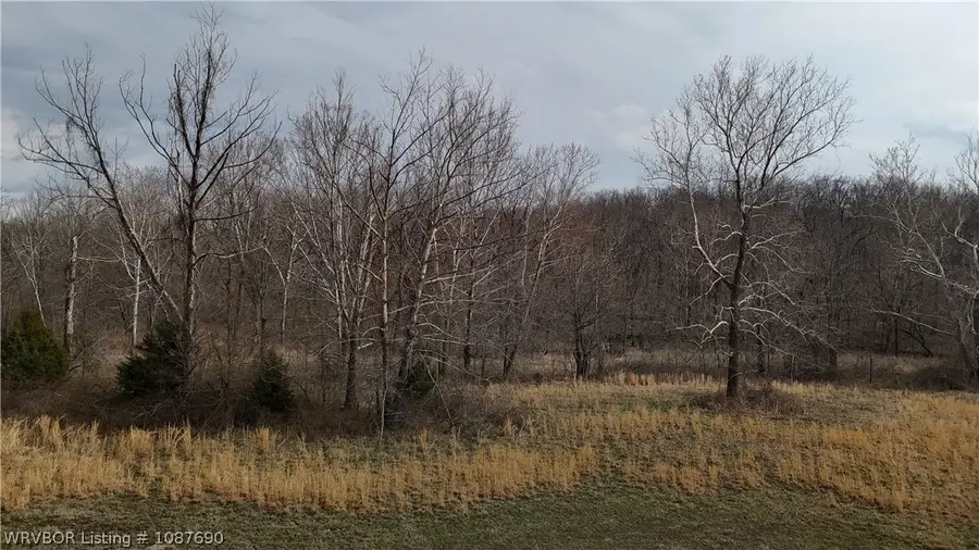 Tract 1 N 4490 Road, Vian, OK 74962 - #2