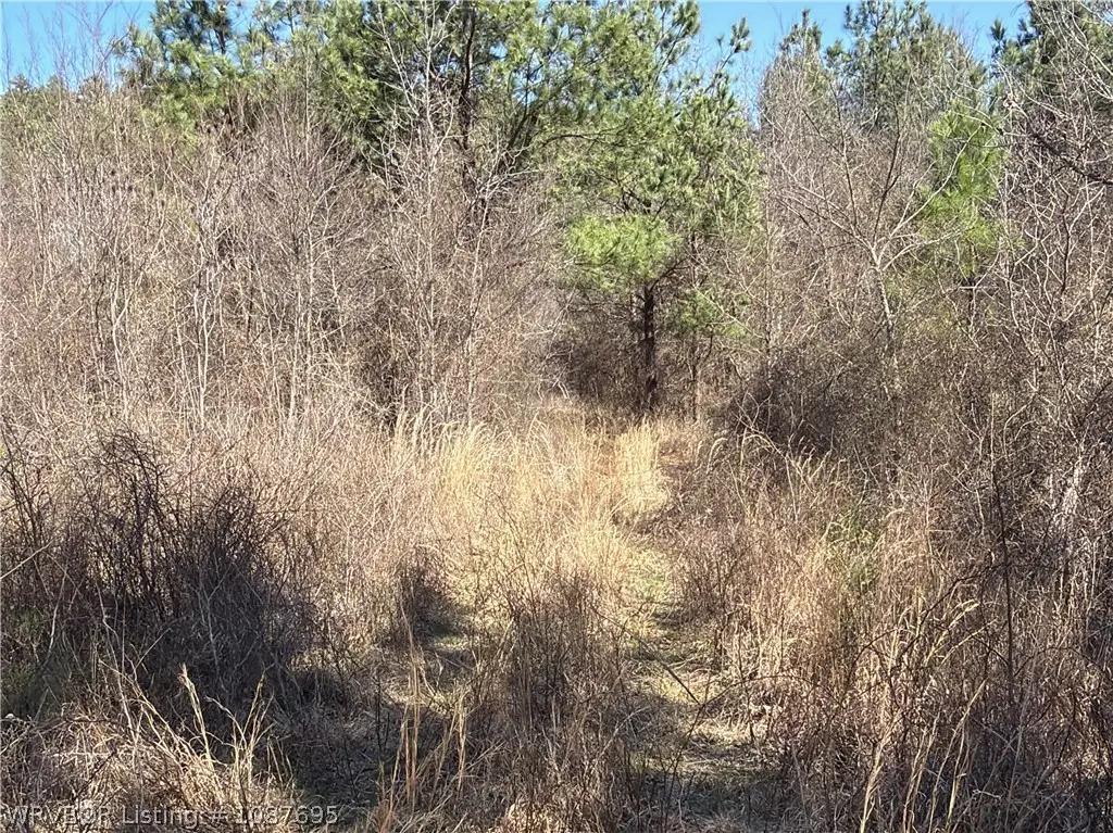 TBD Us Hwy 59, Heavener, OK 74937 - #1