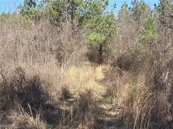 TBD Us Hwy 59, Heavener, OK 74937