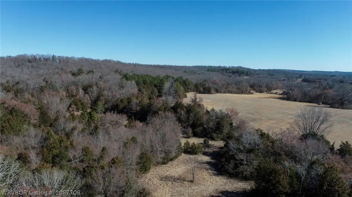 0001 Hobbtown Road, Rudy, AR 72952 - #1