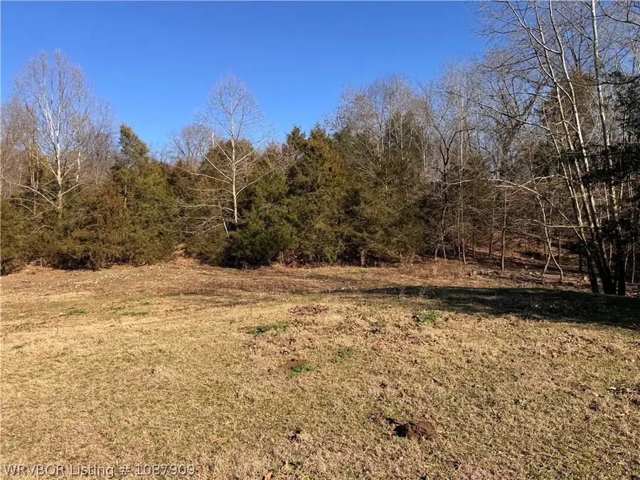 Tract 1A Madison 1490 Street, Huntsville, AR 72740 - #3
