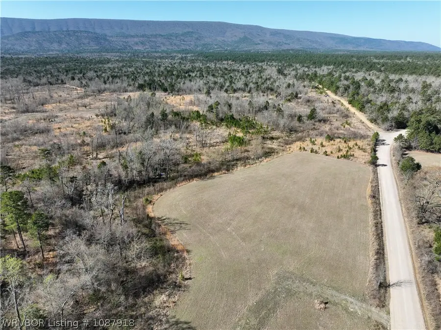 29067 River Road, Muse, OK 74949 - #2