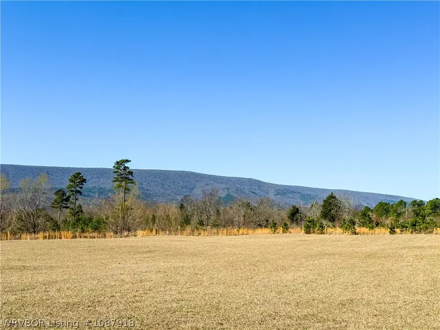 29067 River Road, Muse, OK 74949 - #3