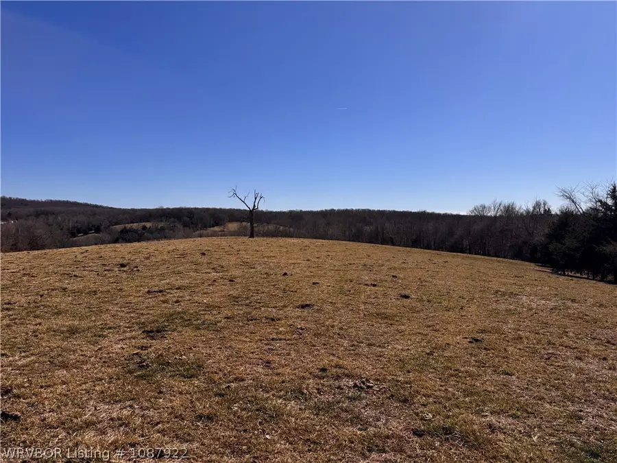 Tract 4 Madison 1490 Street, Huntsville, AR 72740 - #3