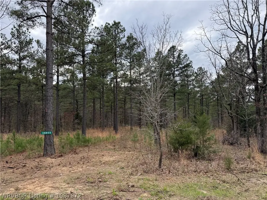 TBD Wren Lane, Wister, OK 74966 - #2