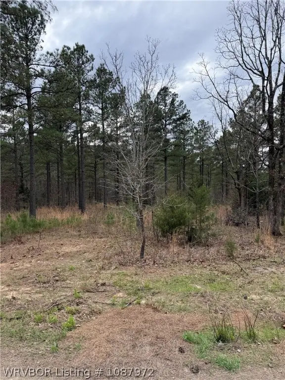 TBD Wren Lane, Wister, OK 74966 - #3