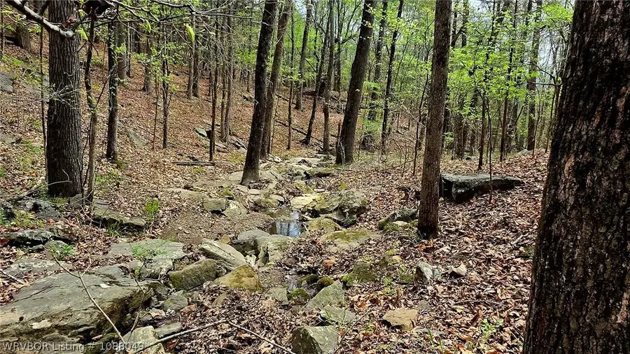 TBD Old Bowman Road, Rudy, AR 72952 - #2