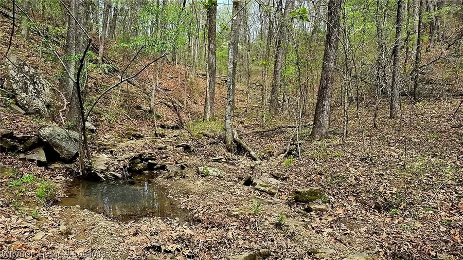 TBD Old Bowman Road, Rudy, AR 72952 - #3