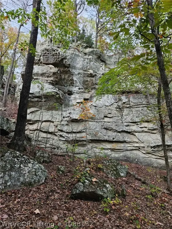 11129 Locke Road, Mountainburg, AR 72946 - #3