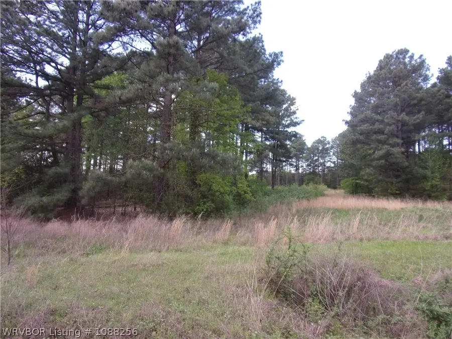 TBD Scenic View, Ozark, AR 72949 - #3