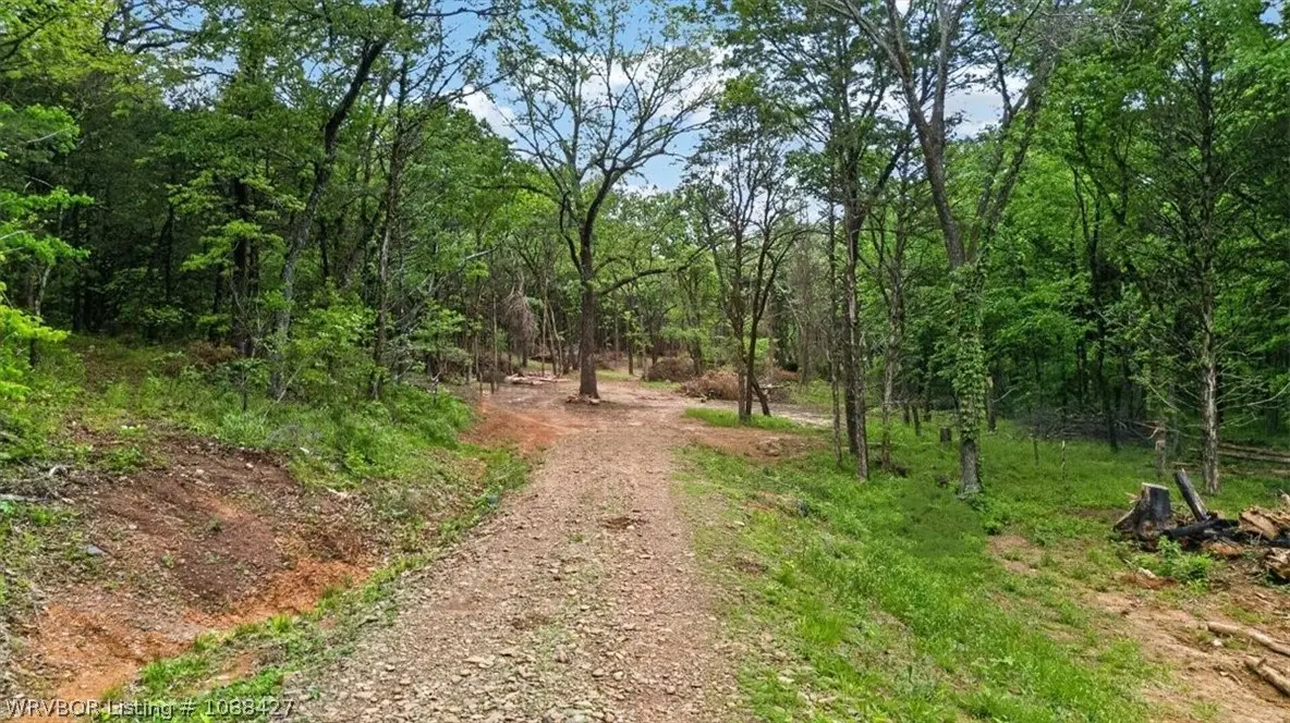 TBD Rockwall Lane, Oliver Springs, AR 72921 - #1