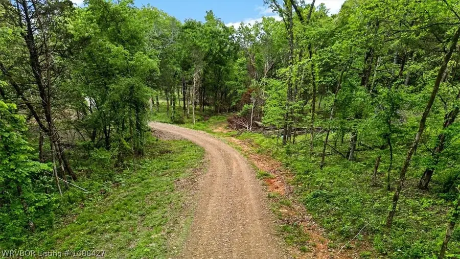 TBD Rockwall Lane, Oliver Springs, AR 72921 - #3