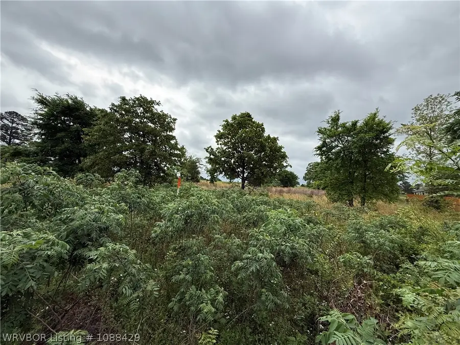 TBD Palmilla Drive, Wister, OK 74966 - #2