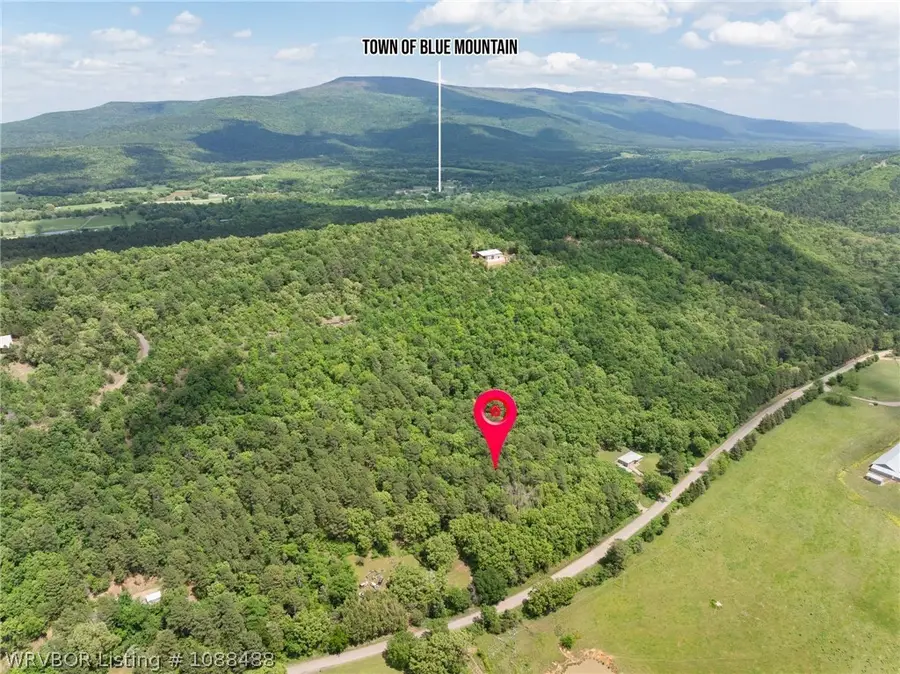 TBD Hog Thief Valley Road, Magazine, AR 72943 - #3