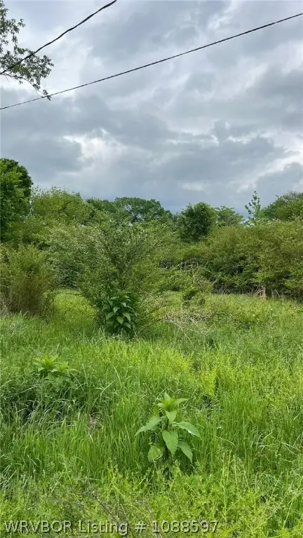 1200 N 2nd Street, Ozark, AR 72949 - #3