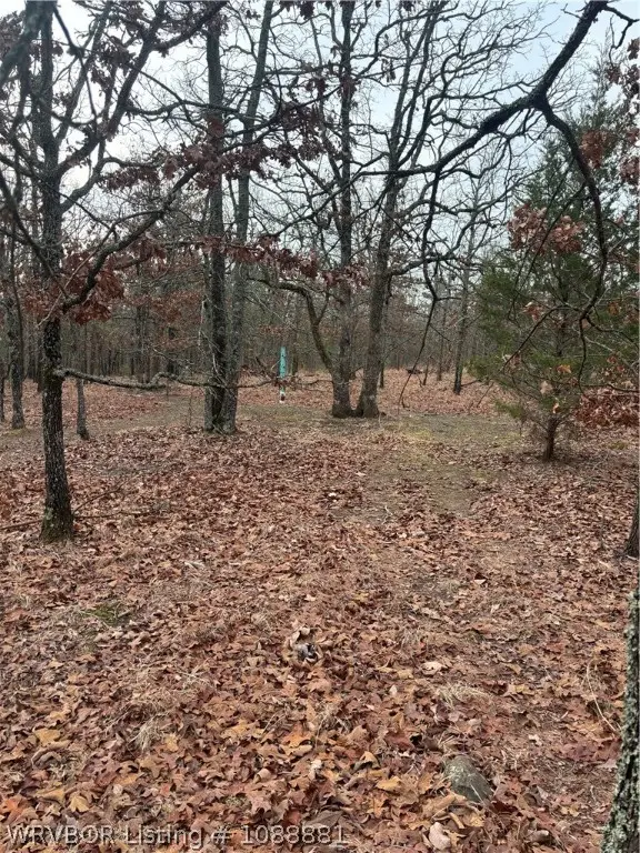 TBD S 4696, Sallisaw, OK 74955 - #1