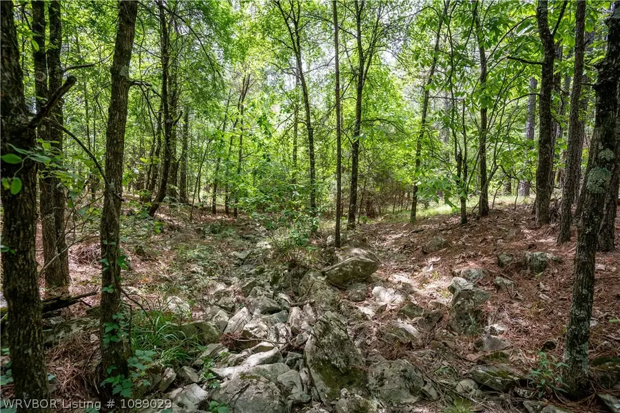 142 Bear Maple Trail, Broken Bow, OK 74728 - #3