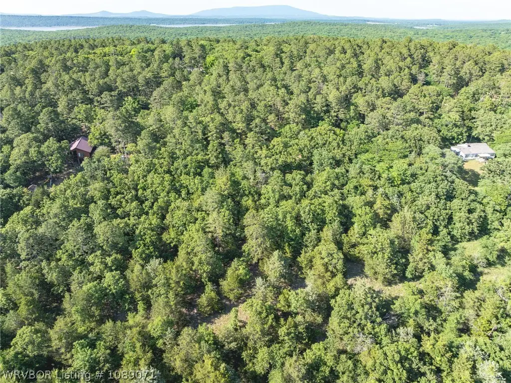TBD Potts Mountain Road, Heavener, OK 74937 - #1