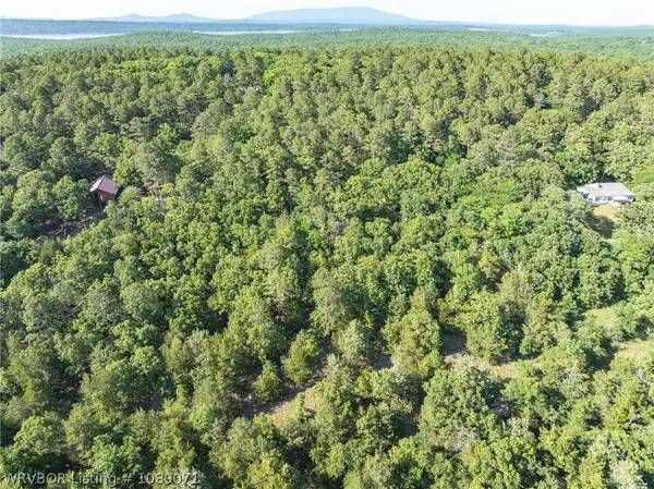 TBD Potts Mountain Road, Heavener, OK 74937