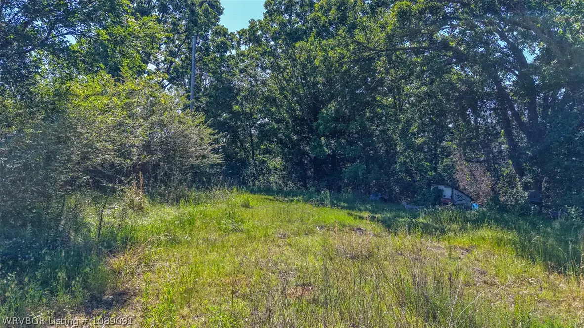 919 Chaffee Road, Charleston, AR 72933 - #1