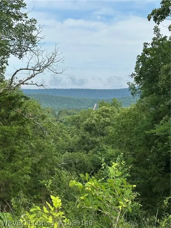 TBD E Highway 10, Booneville, AR 72927 - #2