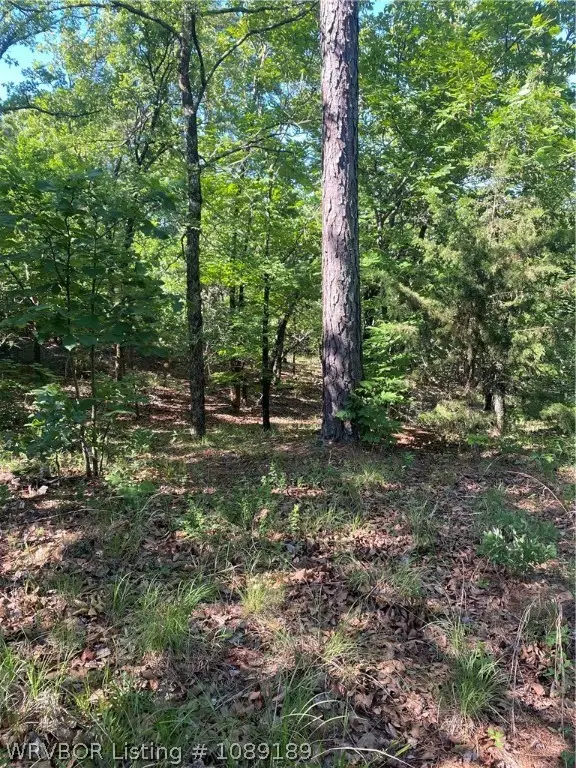 TBD S Booth Avenue, Wister, OK 74966 - #2
