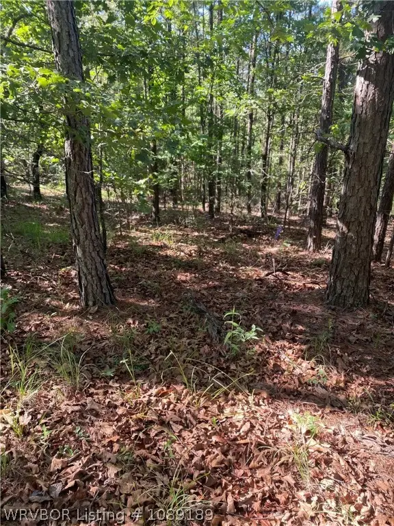 TBD S Booth Avenue, Wister, OK 74966 - #3