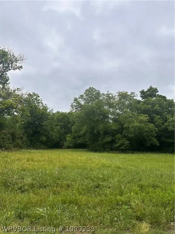 201 N Plum Street, Hackett, AR 72937 - #3