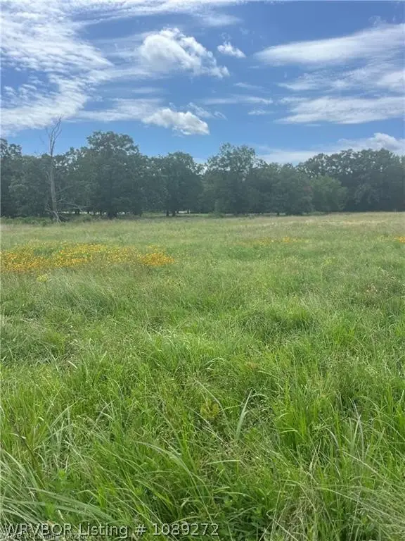 Tract 1819 Bean Patch Loop, Howe, OK 74940 - #1
