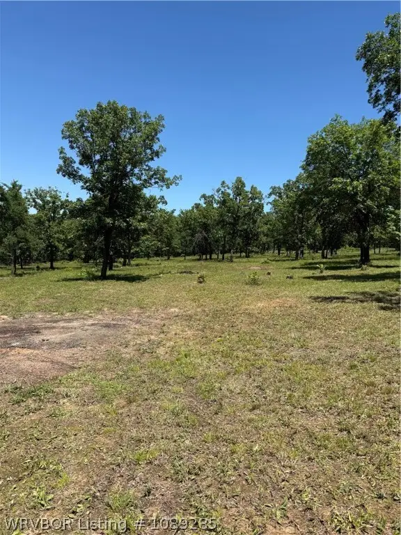 467533 E 1109, Gans, OK 74936 - #2