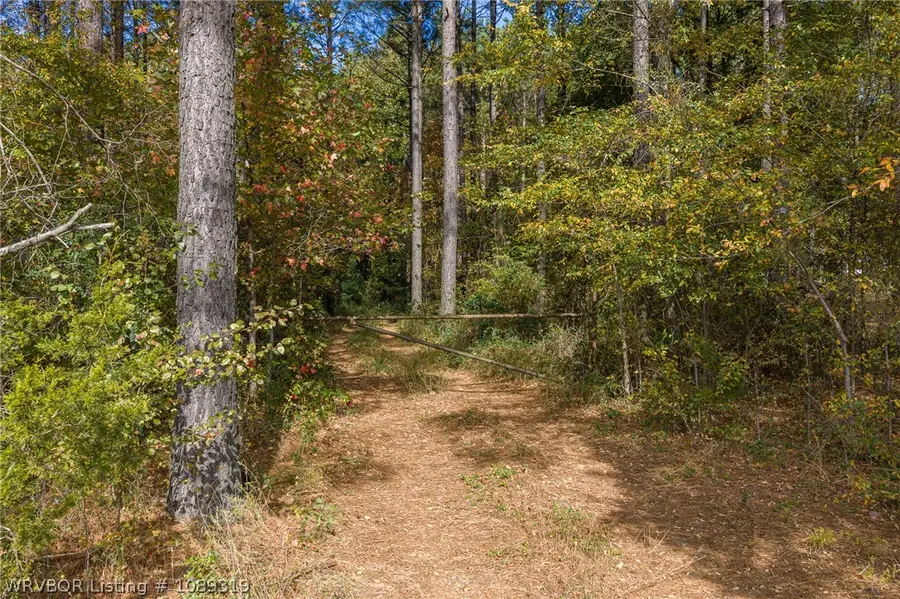 TBD N State Hwy 23, Booneville, AR 72927 - #3