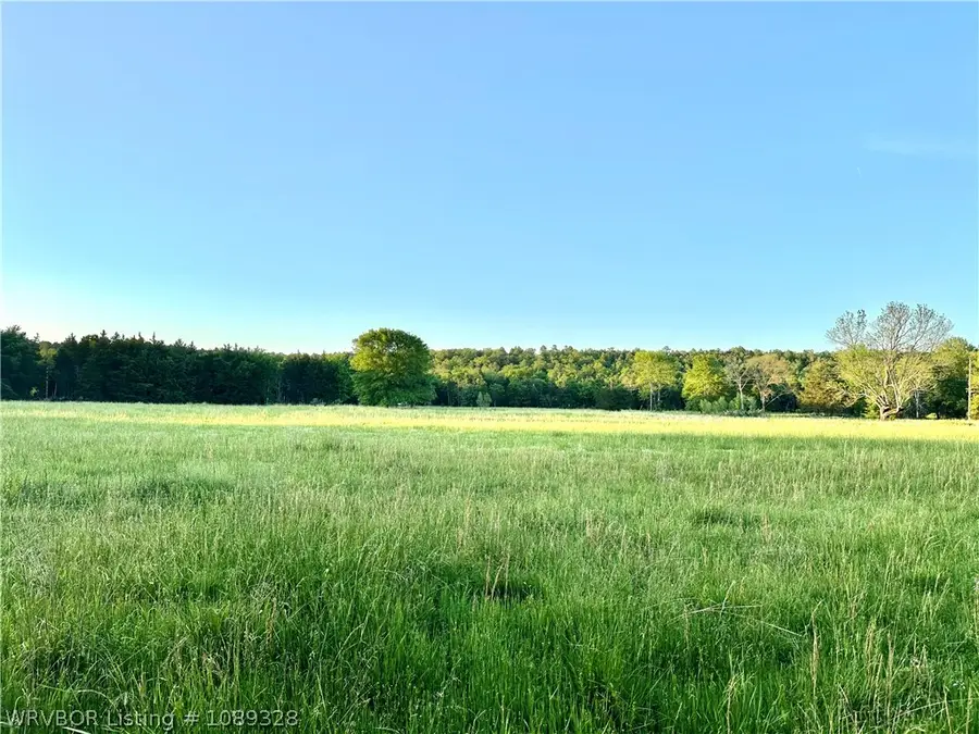 Tract 14 Merle Branch Lane, Heavener, OK 74937 - #2