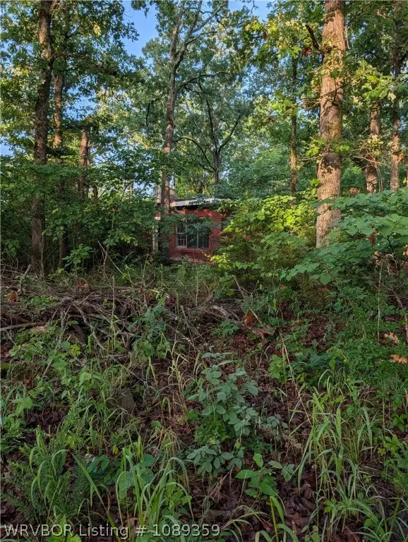 30181 S. 552 Road, Cookson, OK 74427 - #1