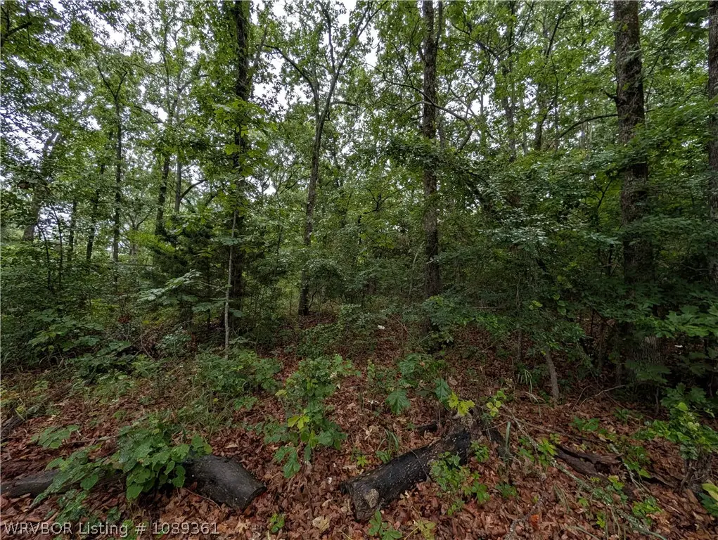 30171 S. 552 Road, Cookson, OK 74427 - #1